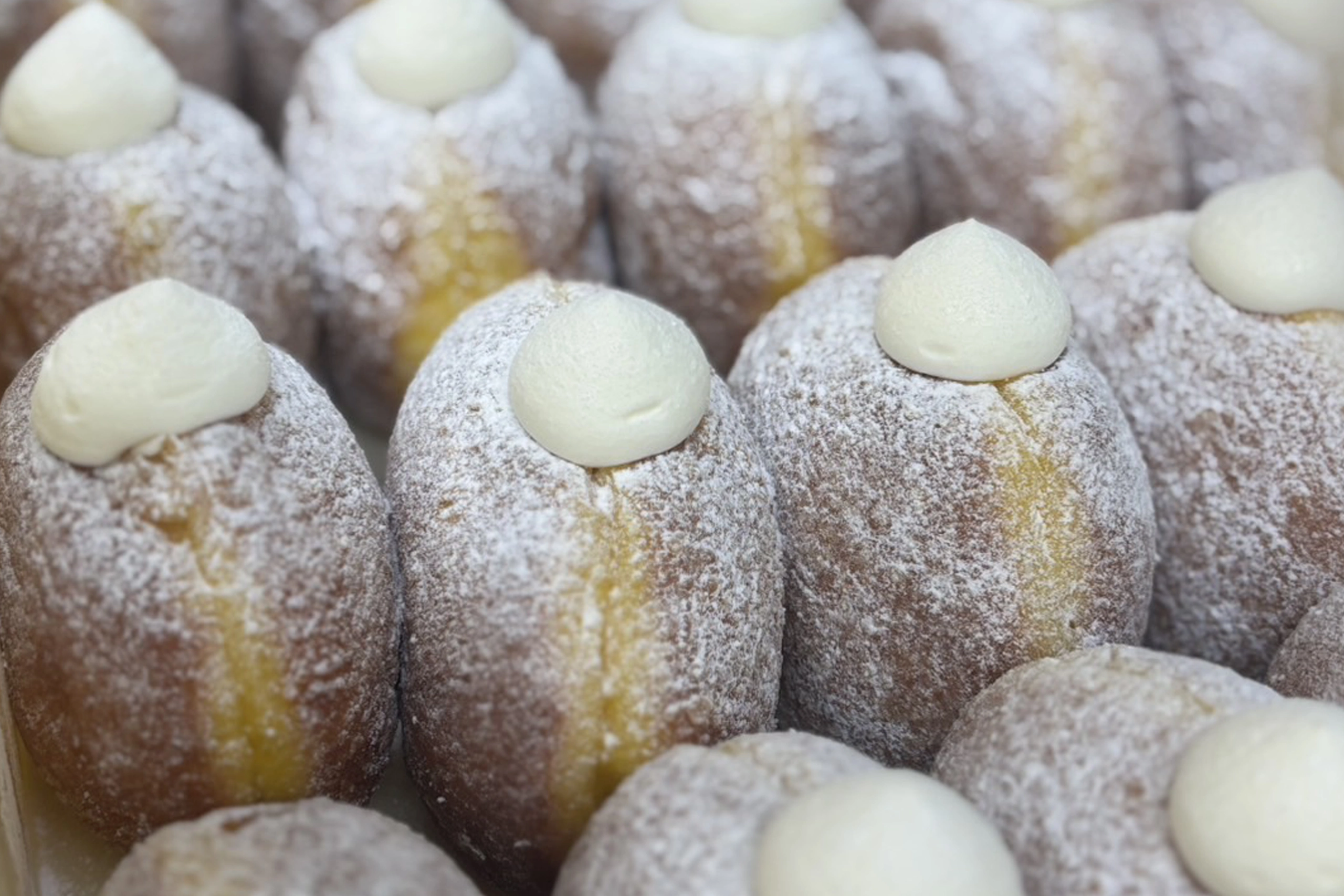 TRUFFLE-DONUT20250613